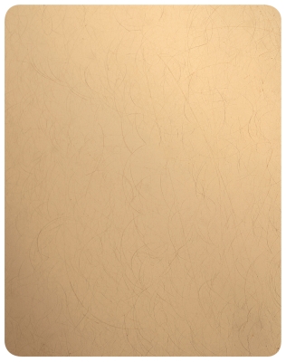 Декоративная нержавеющая сталь Antiscratch Random Grain Gold