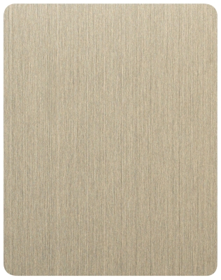 Декоративная нержавеющая сталь Long Line Champagne Gold