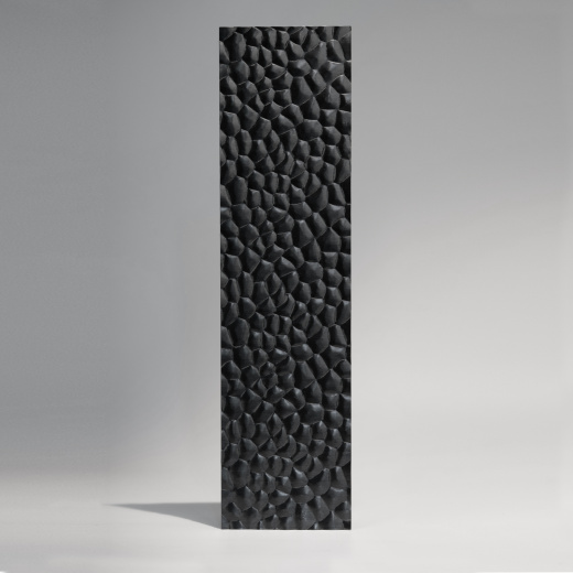 Декоративная нержавеющая сталь 3D Matt Dragon skin Black Middle А