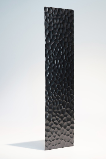 Декоративная нержавеющая сталь 3D Matt Dragon skin Black Middle