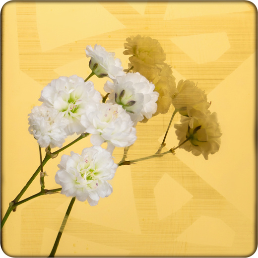 Декоративная нержавеющая сталь Mirror Gold diamonds
