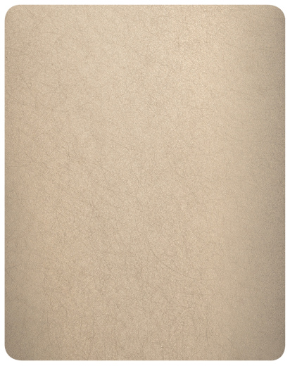 Декоративная нержавеющая сталь Random grain Champagne Matt